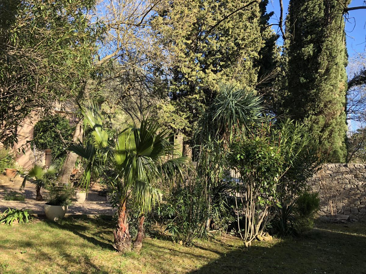 Auberge De Pachoquin Meounes-les-Montrieux Luaran gambar